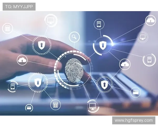 永乐AG网页版登录的安全性与用户体验研究