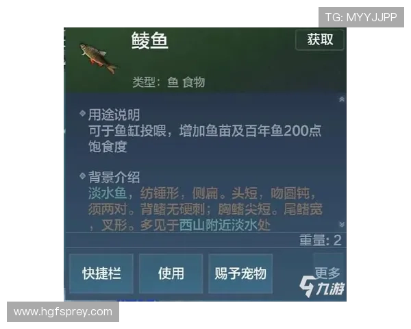 ag真人龙虎游戏规则详解，帮助新手快速入门掌握核心玩法技巧